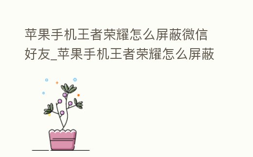 蘋果手機王者榮耀怎么屏蔽微信好友_蘋果手機王者榮耀怎么屏蔽微信好友信息