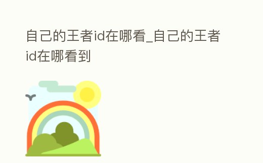 自己的王者id在哪看_自己的王者id在哪看到