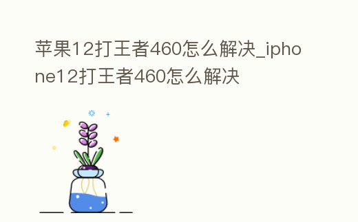 蘋果12打王者460怎么解決_iphone12打王者460怎么解決