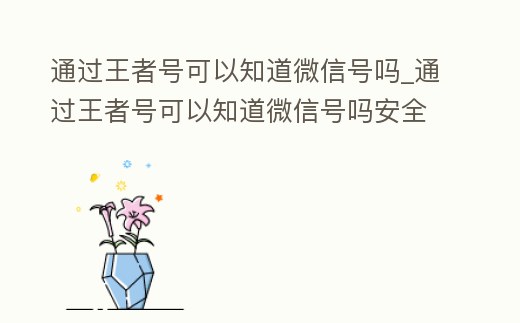 通過王者號可以知道微信號嗎_通過王者號可以知道微信號嗎安全嗎