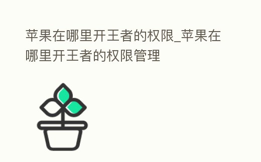 蘋果在哪里開王者的權限_蘋果在哪里開王者的權限管理