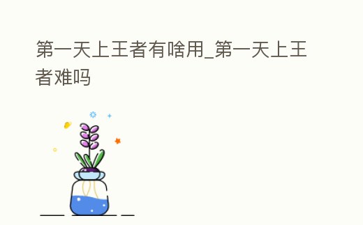 第一天上王者有啥用_第一天上王者難嗎