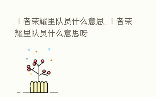 王者榮耀里隊員什么意思_王者榮耀里隊員什么意思呀