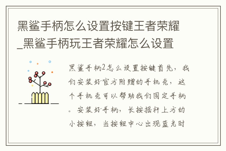 黑鯊手柄怎么設置按鍵王者榮耀_黑鯊手柄玩王者榮耀怎么設置