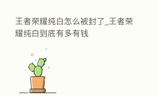 王者榮耀純白怎么被封了_王者榮耀純白到底有多有錢