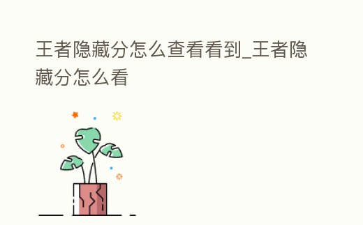 王者隱藏分怎么查看看到_王者隱藏分怎么看