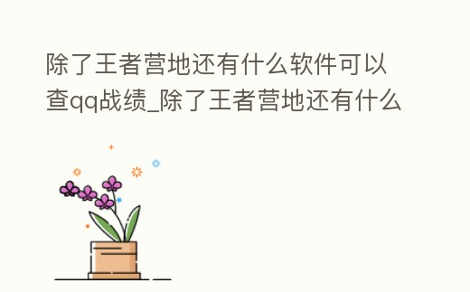 除了王者營地還有什么軟件可以查qq戰績_除了王者營地還有什么軟件可以查qq戰績記錄