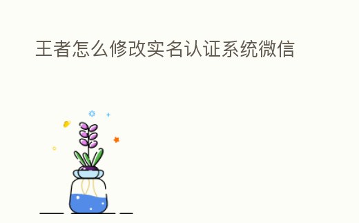 王者怎么修改實(shí)名認(rèn)證系統(tǒng)微信