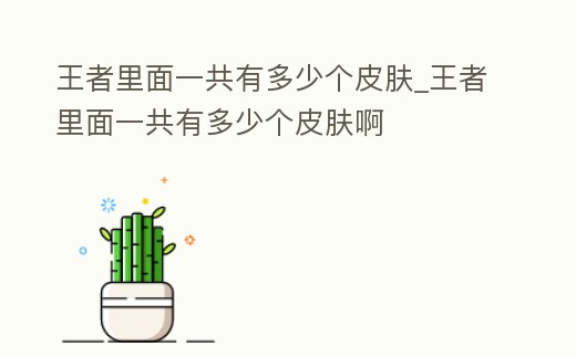 王者里面一共有多少個皮膚_王者里面一共有多少個皮膚啊