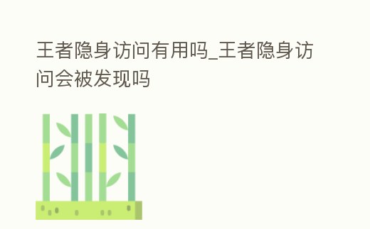 王者隱身訪問有用嗎_王者隱身訪問會被發現嗎