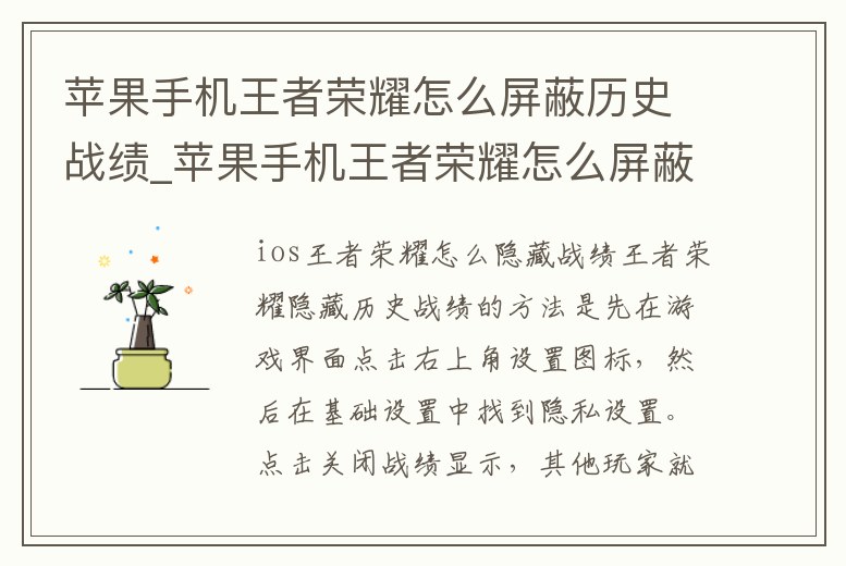 蘋果手機王者榮耀怎么屏蔽歷史戰績_蘋果手機王者榮耀怎么屏蔽歷史戰績信息