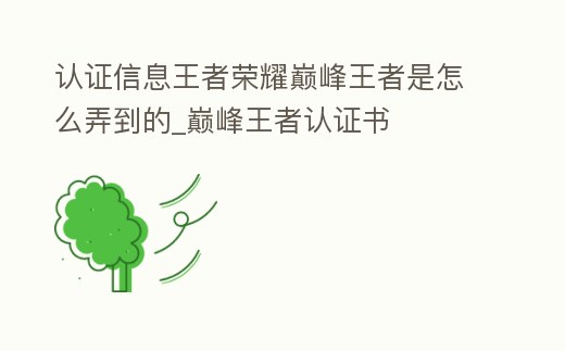 認證信息王者榮耀巔峰王者是怎么弄到的_巔峰王者認證書