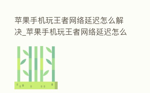 蘋果手機玩王者網絡延遲怎么解決_蘋果手機玩王者網絡延遲怎么解決方法