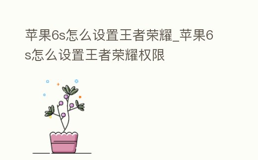 蘋果6s怎么設置王者榮耀_蘋果6s怎么設置王者榮耀權限