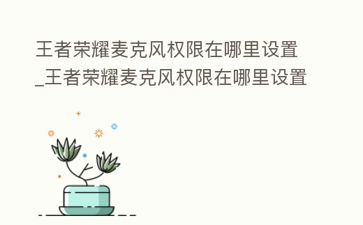 王者榮耀麥克風權限在哪里設置_王者榮耀麥克風權限在哪里設置小米