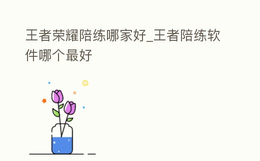 王者榮耀陪練哪家好_王者陪練軟件哪個最好