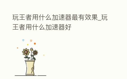 玩王者用什么加速器最有效果_玩王者用什么加速器好