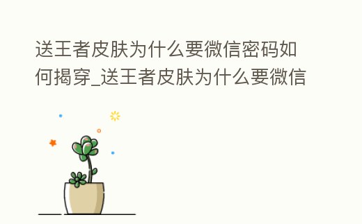 送王者皮膚為什么要微信密碼如何揭穿_送王者皮膚為什么要微信密碼和支付密碼