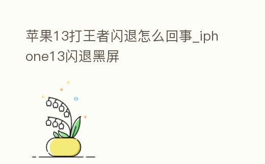 蘋果13打王者閃退怎么回事_iphone13閃退黑屏