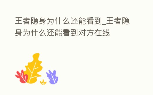 王者隱身為什么還能看到_王者隱身為什么還能看到對方在線