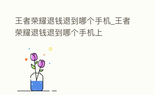 王者榮耀退錢退到哪個手機_王者榮耀退錢退到哪個手機上