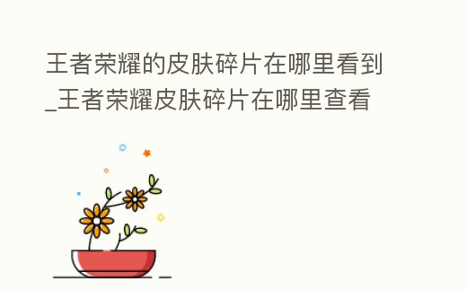 王者榮耀的皮膚碎片在哪里看到_王者榮耀皮膚碎片在哪里查看