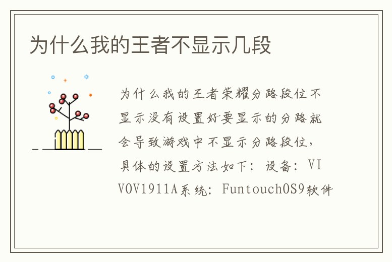 為什么我的王者不顯示幾段