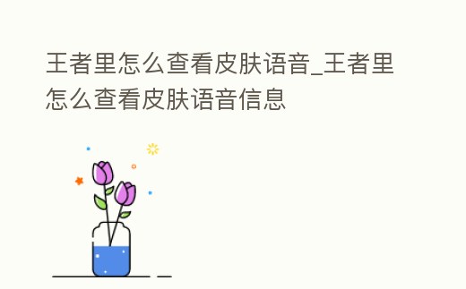 王者里怎么查看皮膚語音_王者里怎么查看皮膚語音信息
