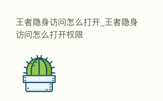 王者隱身訪問怎么打開_王者隱身訪問怎么打開權限
