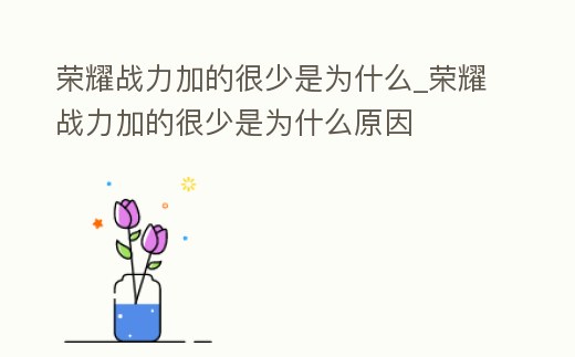 榮耀戰(zhàn)力加的很少是為什么_榮耀戰(zhàn)力加的很少是為什么原因