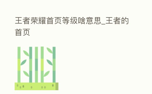 王者榮耀首頁等級(jí)啥意思_王者的首頁