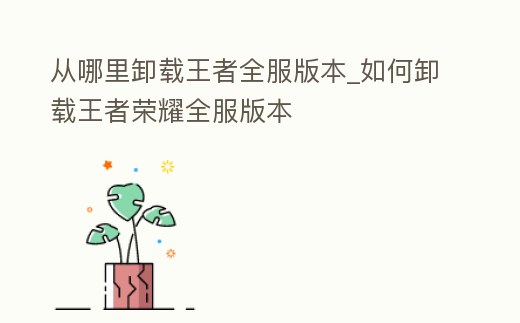 從哪里卸載王者全服版本_如何卸載王者榮耀全服版本