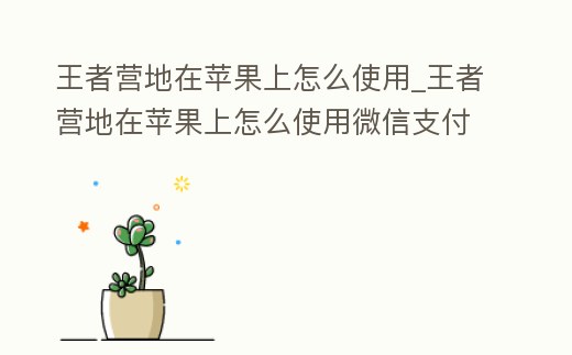 王者營地在蘋果上怎么使用_王者營地在蘋果上怎么使用微信支付