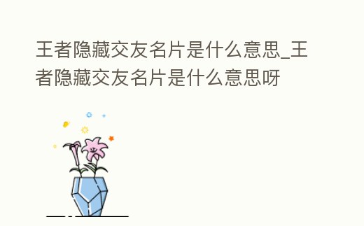 王者隱藏交友名片是什么意思_王者隱藏交友名片是什么意思呀