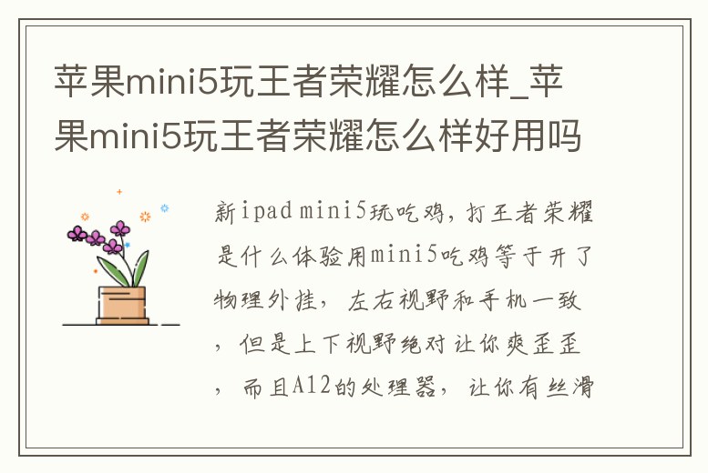 蘋果mini5玩王者榮耀怎么樣_蘋果mini5玩王者榮耀怎么樣好用嗎