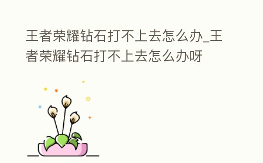 王者榮耀鉆石打不上去怎么辦_王者榮耀鉆石打不上去怎么辦呀