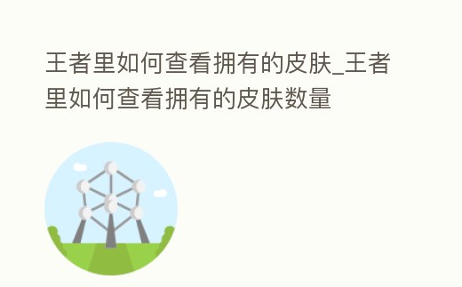 王者里如何查看擁有的皮膚_王者里如何查看擁有的皮膚數(shù)量
