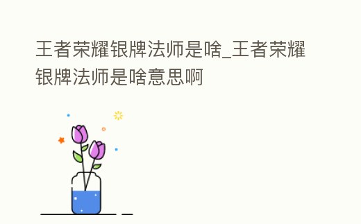 王者榮耀銀牌法師是啥_王者榮耀銀牌法師是啥意思啊