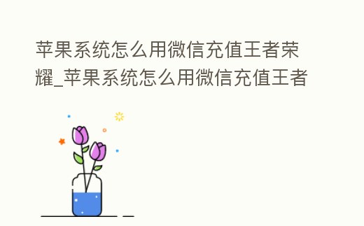 蘋果系統(tǒng)怎么用微信充值王者榮耀_蘋果系統(tǒng)怎么用微信充值王者榮耀榮耀幣