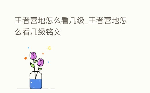 王者營地怎么看幾級_王者營地怎么看幾級銘文