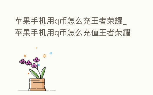 蘋果手機用q幣怎么充王者榮耀_蘋果手機用q幣怎么充值王者榮耀