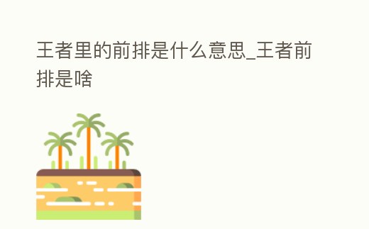 王者里的前排是什么意思_王者前排是啥