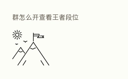 群怎么開查看王者段位
