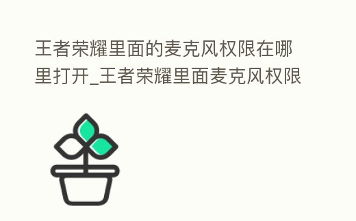 王者榮耀里面的麥克風權限在哪里打開_王者榮耀里面麥克風權限在哪里打開來著
