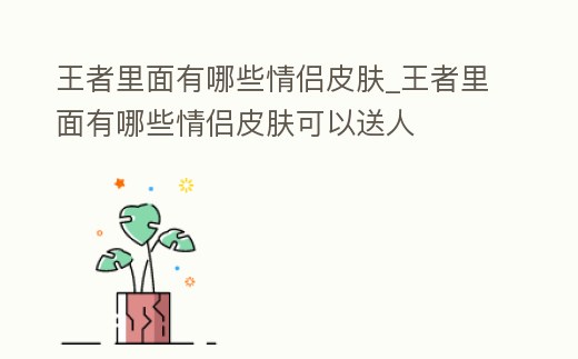 王者里面有哪些情侶皮膚_王者里面有哪些情侶皮膚可以送人