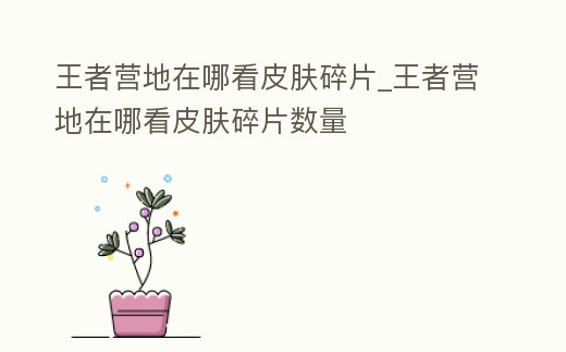 王者營地在哪看皮膚碎片_王者營地在哪看皮膚碎片數量