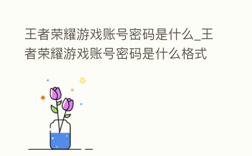 王者榮耀游戲賬號密碼是什么_王者榮耀游戲賬號密碼是什么格式