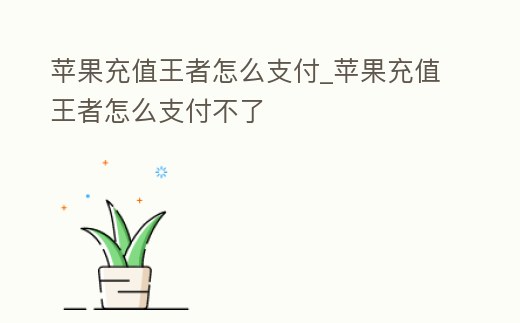 蘋果充值王者怎么支付_蘋果充值王者怎么支付不了