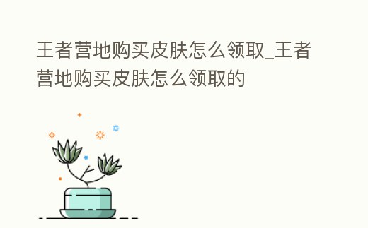 王者營地購買皮膚怎么領取_王者營地購買皮膚怎么領取的