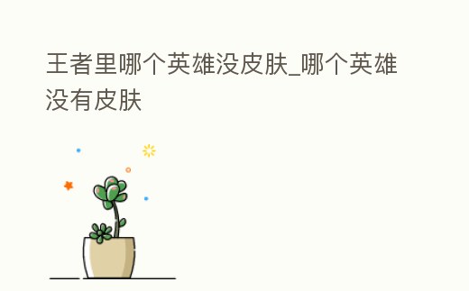 王者里哪個英雄沒皮膚_哪個英雄沒有皮膚